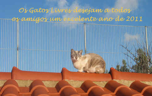 Gatos Livres